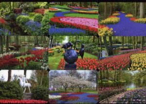 Серия календарей «Парк цветов Кекенхоф» 22 штуки 2016 год