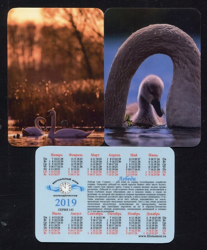 Серия календарей «Лебеди» 20 штук 2019 год