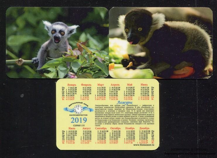 Серия календарей «Животные: лемуры» 20 штук 2019 год