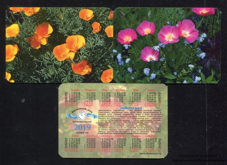Серия календарей «Цветы эшшольция» 20 штук 2019 год