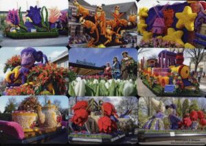 Серия календарей «Парад цветов в Нидерландах» 20 штук 2019 год