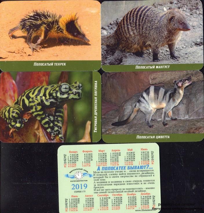 Серия календарей «Животные полосатики» 22 штуки 2019 год