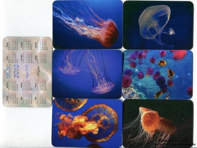 Серия календарей «Медузы» 15 штук 2013 год