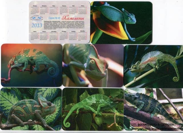 Серия календарей «Хамелеон» 16 штук 2013 год