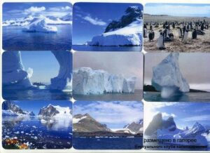 Серия календарей «Антарктида» 12 штук 2013 год
