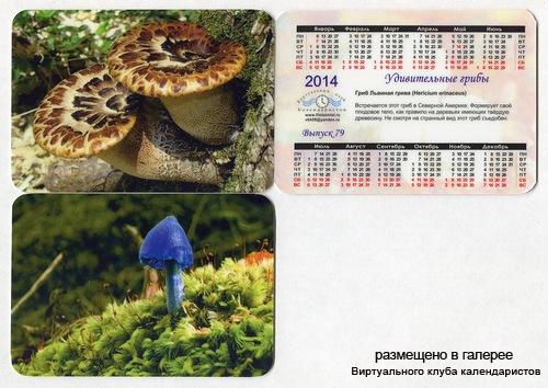 Серия календарей «Удивительные грибы» 20 штук 2014 год