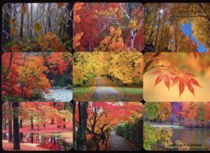 Серия календарей «Осень» 16 штук 2015 год