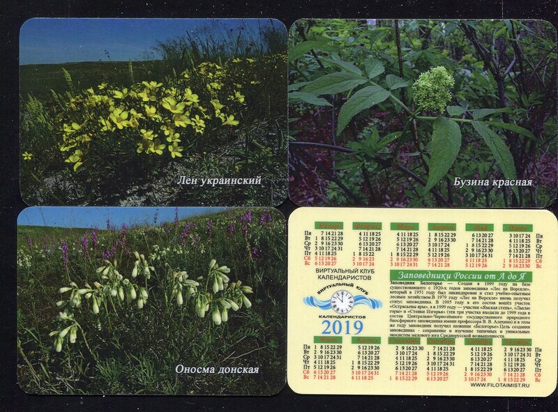 Серия календарей «Заповедник Белогорье флора» 26 штук 2019 год