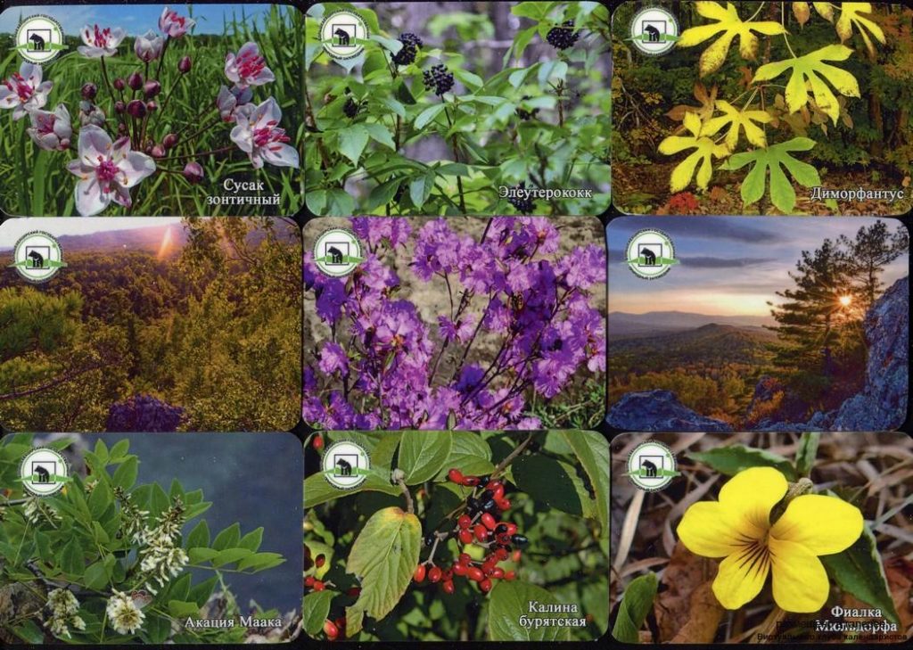 Серия календарей «Большехритский заповедник флора» 18 штук 2019 год