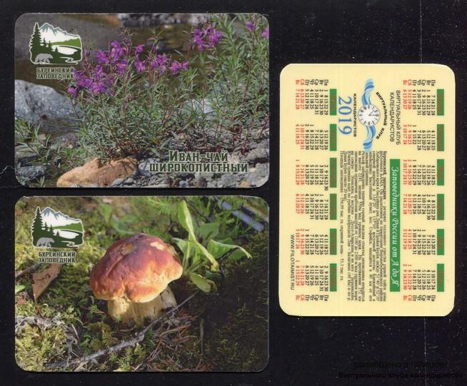 Серия календарей «Буреинский заповедник флора» 20 штук 2019 год