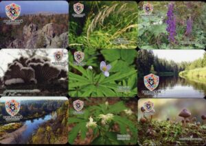 Серия календарей «Висимский заповедник флора» 20 штук 2020 год