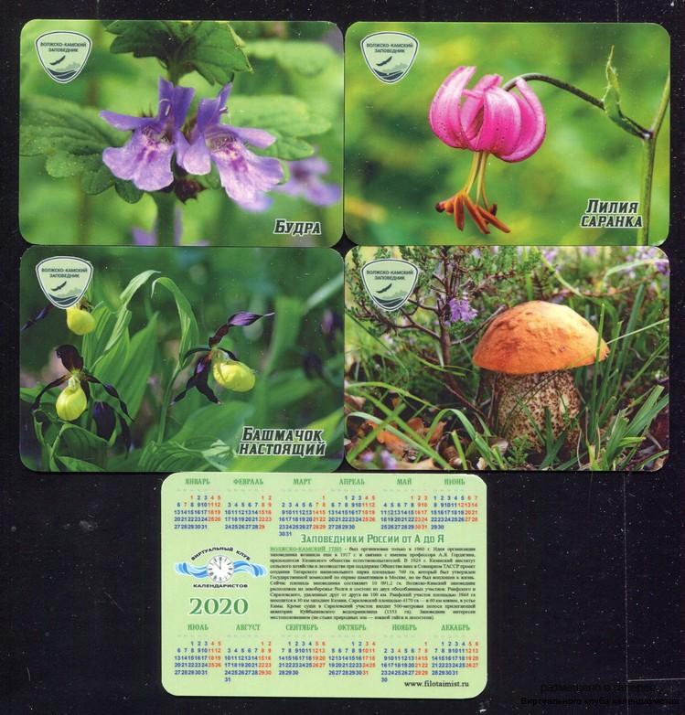 Серия календарей «Волгокамский заповедник флора» 20 штук 2020 год
