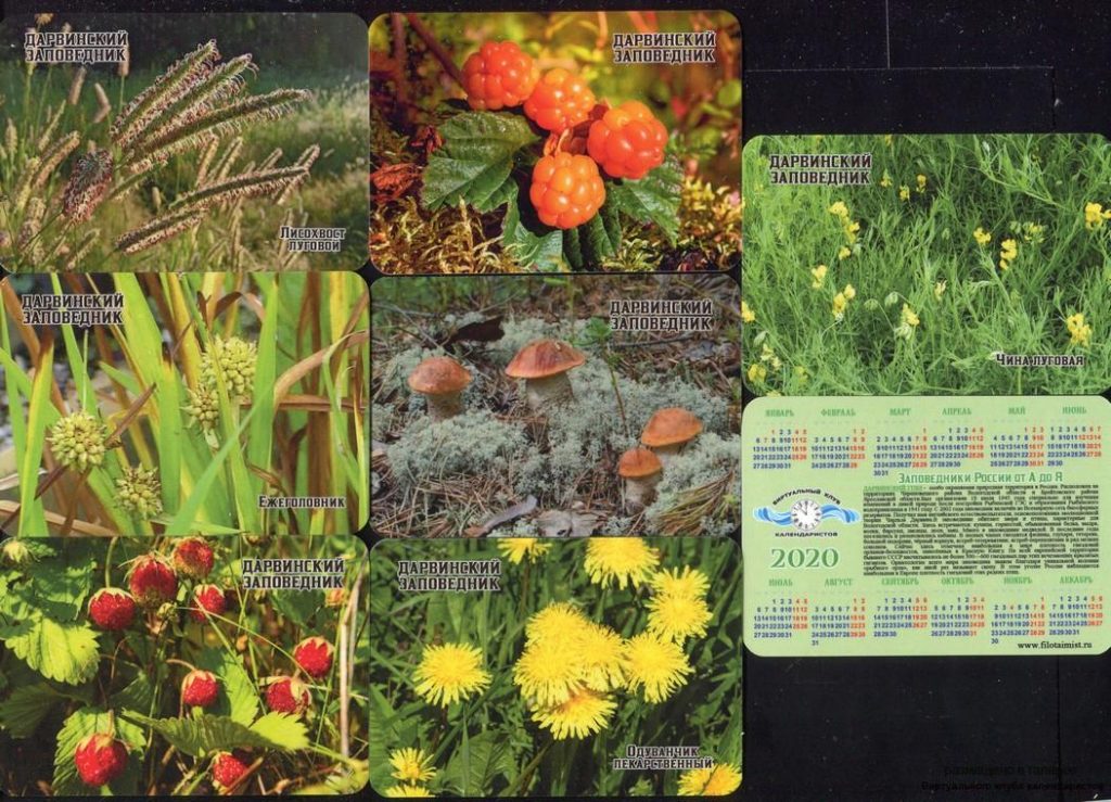 Серия календарей «Дарвинский заповедник флора» 22 штуки 2020 год