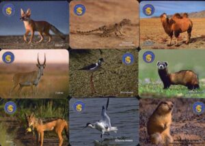 Серия календарей «Богдинско-баскунчакский заповедник фауна» 20 штук 2019 год