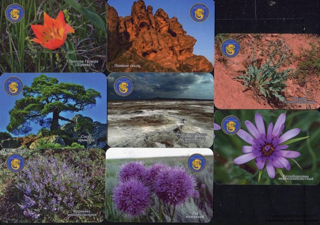 Серия календарей «Богдинско-баскунчакский заповедник флора» 22 штуки 2019 год
