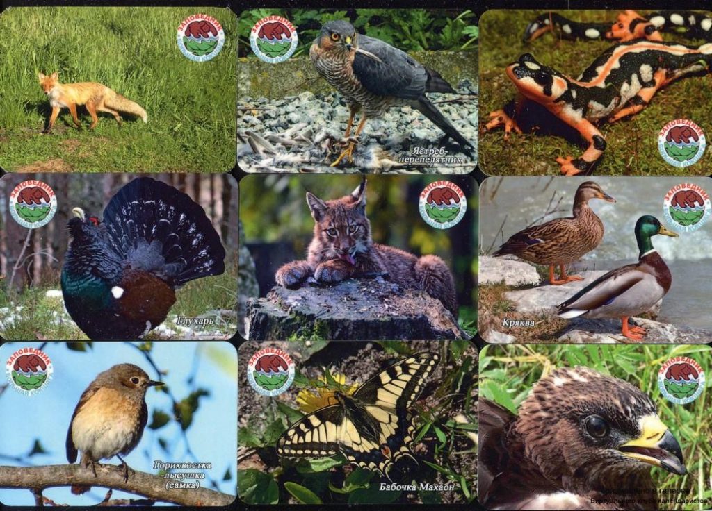 Серия календарей «Заповедник Большая Кокшага фауна» 22 штуки 2019 год