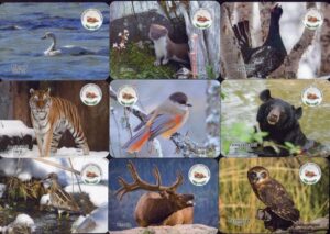 Серия календарей «Заповедник Ботчинский фауна» 20 штук 2019 год