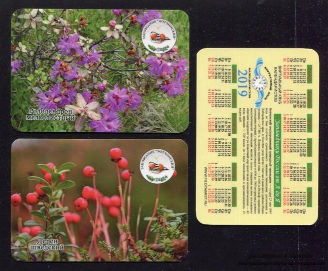 Серия календарей «Заповедник Ботчинский флора» 20 штук 2019 год