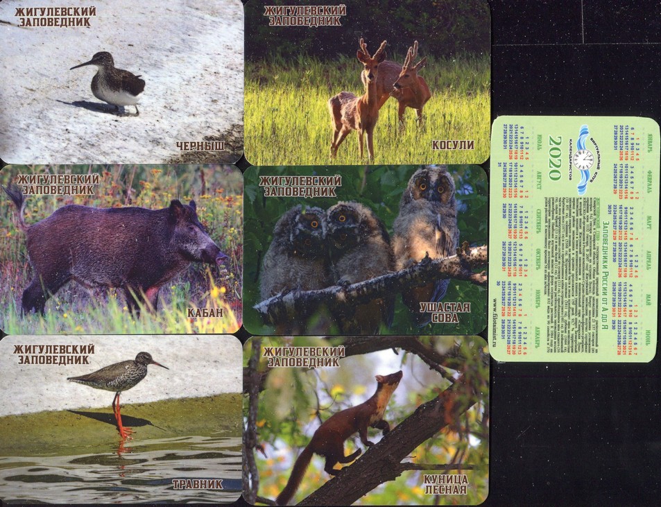 Серия календарей «Жигулевский заповедник фауна» 24 штуки 2020 год