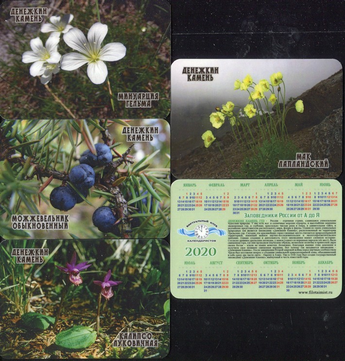 Серия календарей «Заповедник Денежкин камень флора» 22 штуки 2020 год
