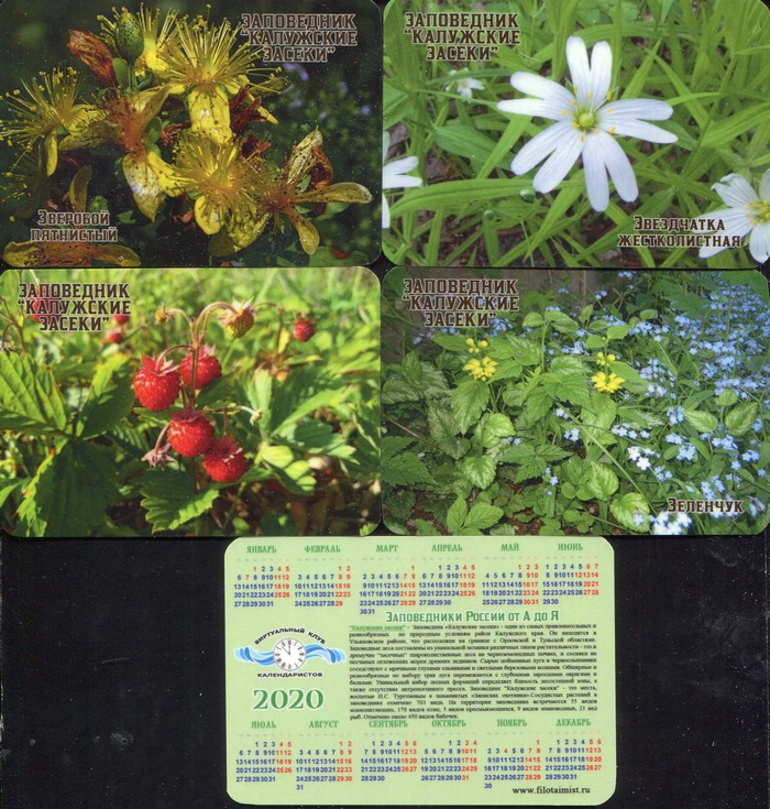Серия календарей «Калужские засеки флора» 22 штуки 2020 год