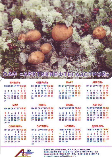 Грибы на карманных календарях 1999-2005 годы