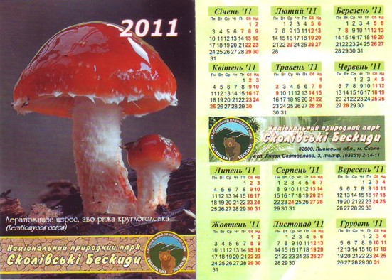 Грибы на календарях 2010-2015