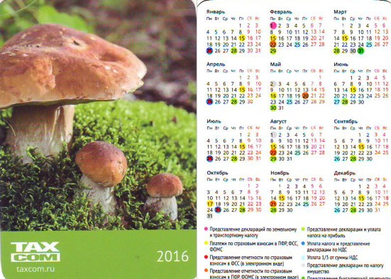 Грибы на календарях 2015-2022 годы