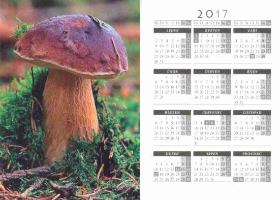 Новинки календарей на грибную тему 2022