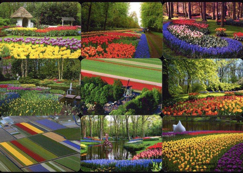 Серия календарей «Парк цветов Кекенхоф» 22 штуки 2016 год