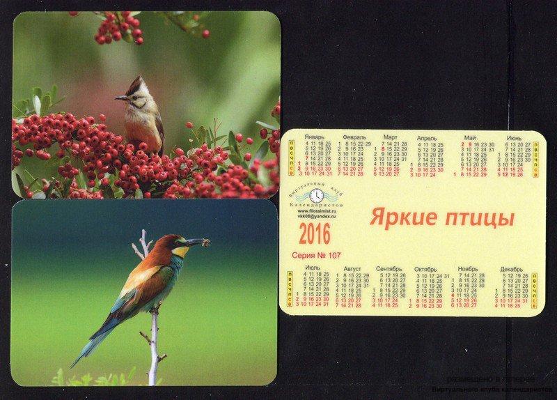 Серия календарей «Яркие птицы» 20 штук 2016 год