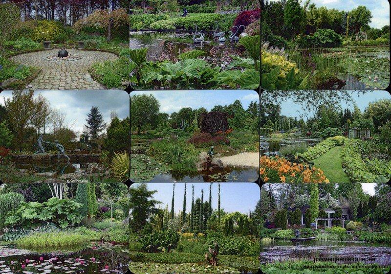 Серия календарей «Ботанический сал Ады Хофман» 16 штук 2017 год