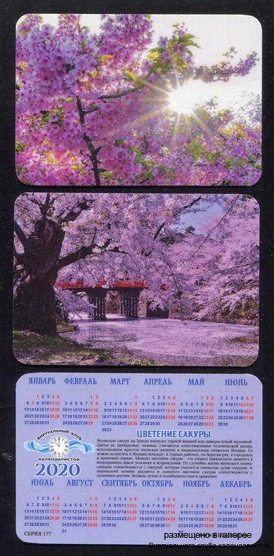 Серия календарей «Цветение сакуры» 20 штук 2020 год