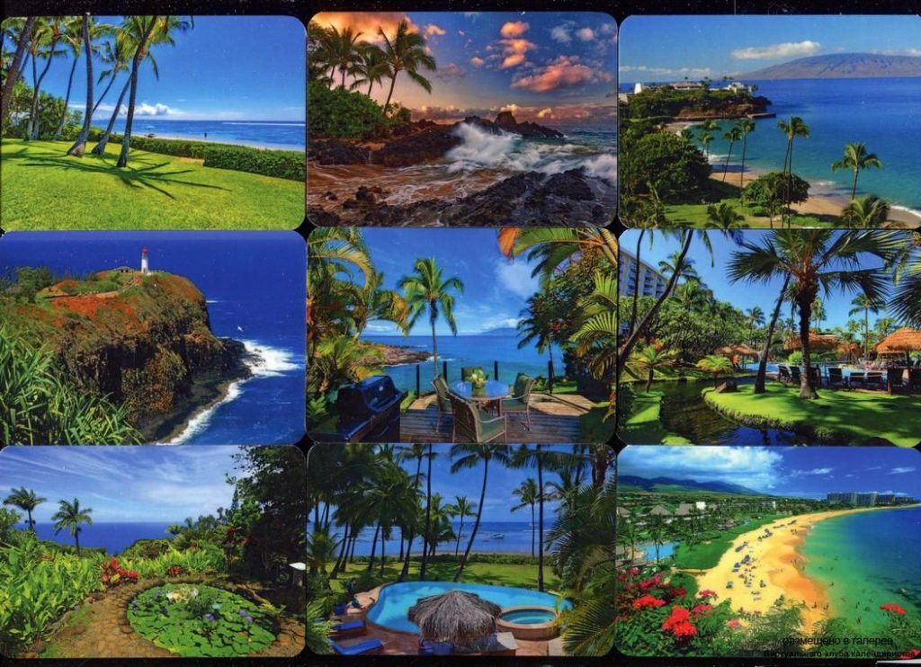 Серия календарей «Остров Мауи» 20 штук 2020 год