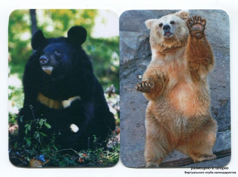 Серия календарей «Медведи» 18 штук 2013 год
