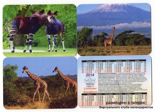 Серия календарей «Жирафы» 12 штук 2014 год