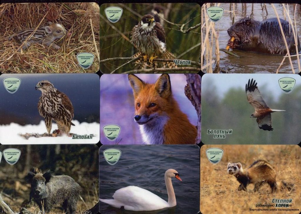 Серия календарей «Волгокамский заповедник фауна» 20 штук 2020 год