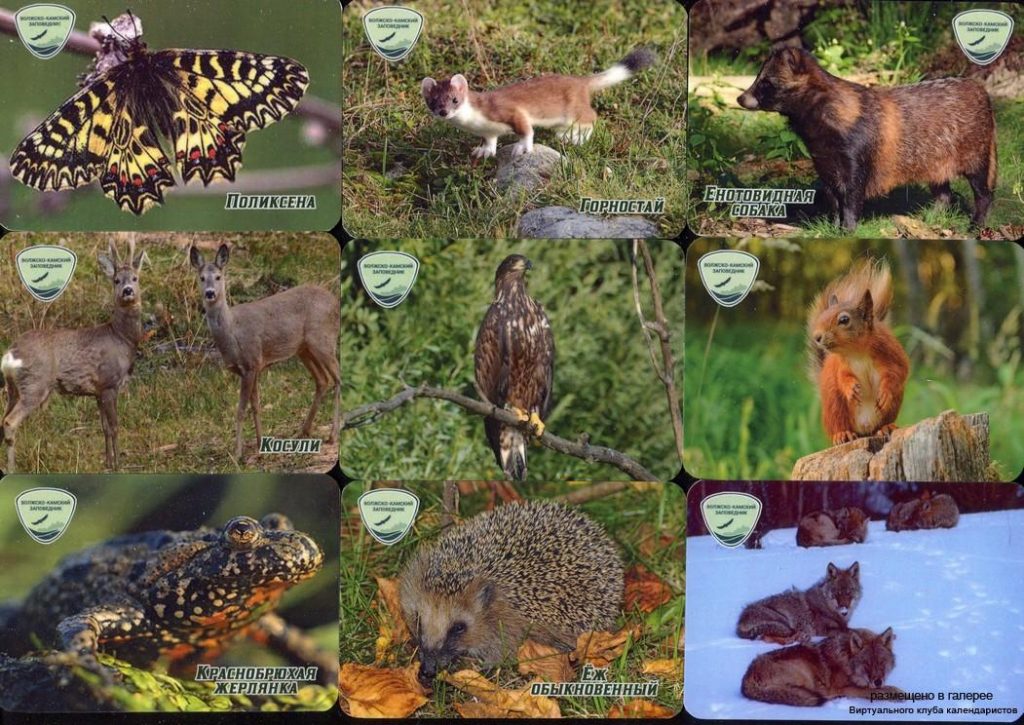 Серия календарей «Волгокамский заповедник фауна» 20 штук 2020 год