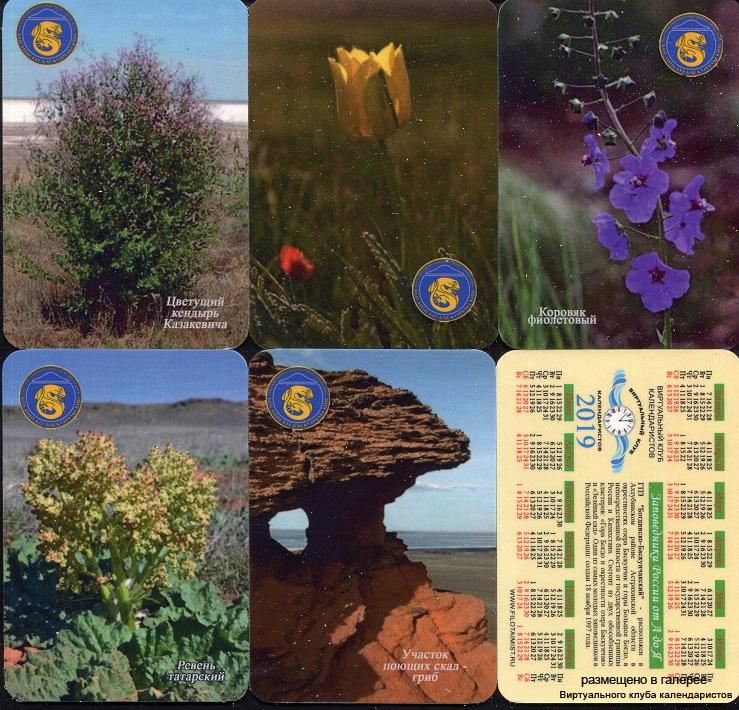 Серия календарей «Богдинско-баскунчакский заповедник флора» 22 штуки 2019 год
