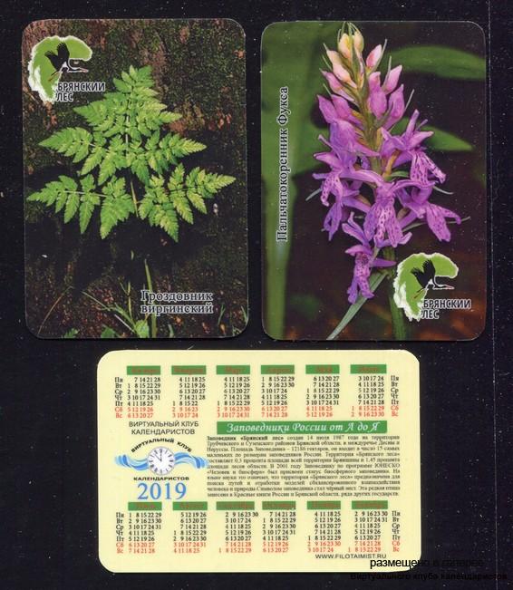 Серия календарей «Заповедник Брянский лес флора» 20 штук 2019 год