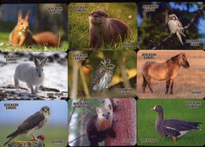 Серия календарей «Заповедник Денежкин камень фауна» 22 штуки 2020 год